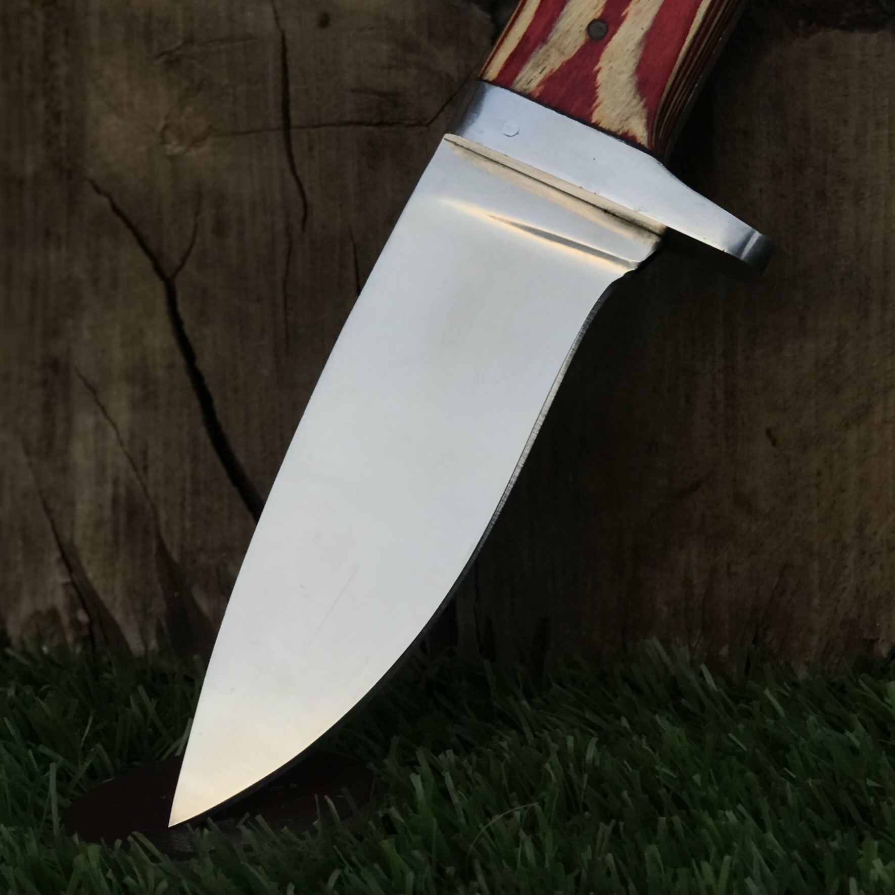 Compact Outdoor Knife with Mirror Polish Steel Blade Color Wood Handle Gardening Knife Camping Utility Knife - Image 2