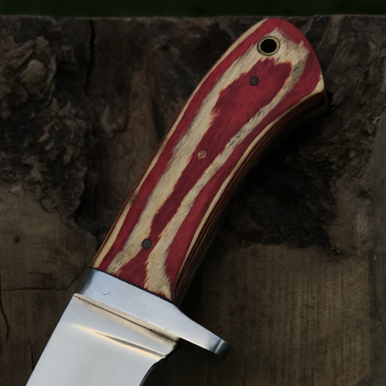 Compact Outdoor Knife with Mirror Polish Steel Blade Color Wood Handle Gardening Knife Camping Utility Knife - Image 3