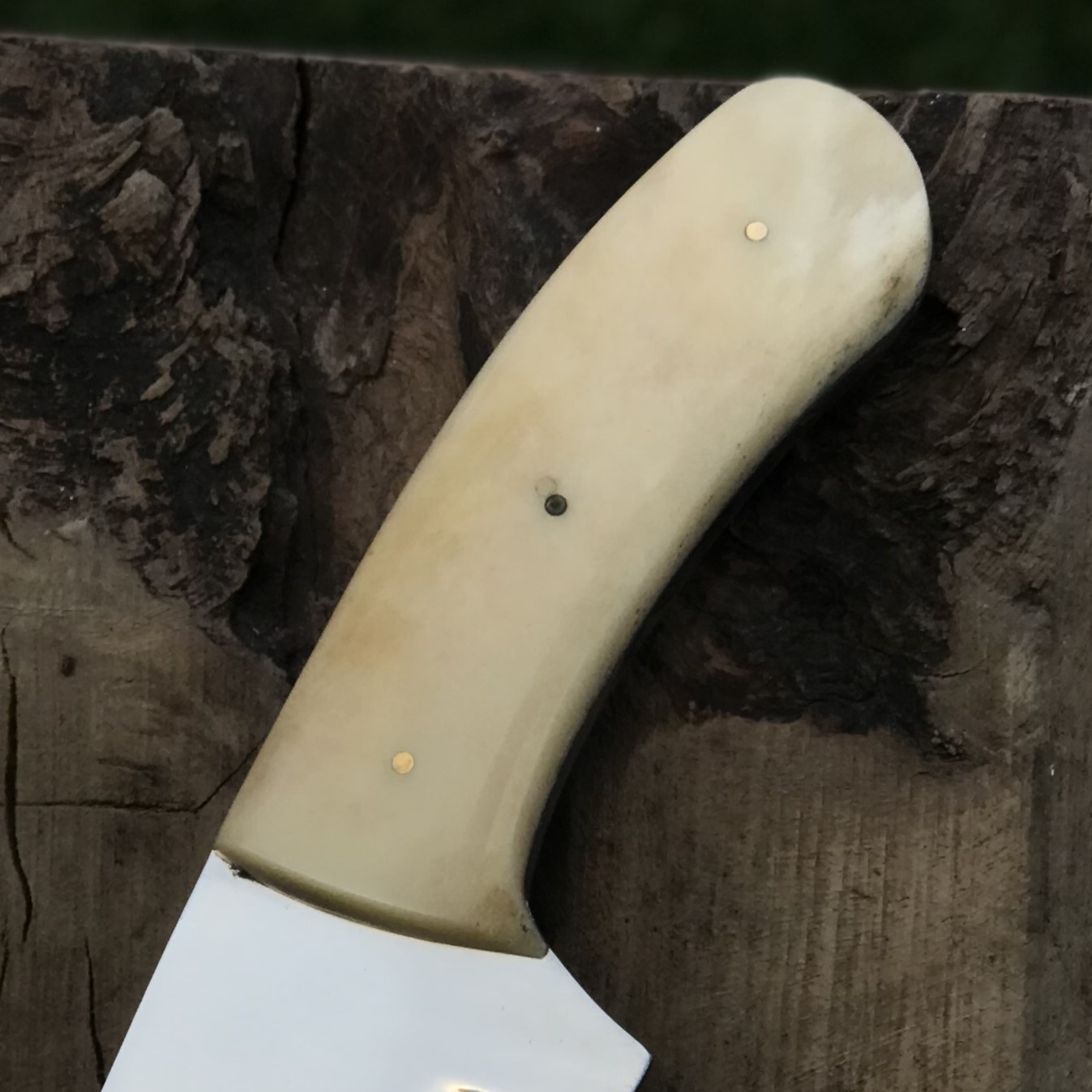 Compact Outdoor Knife with Mirror Polish Blade Off White Handle Gardening Knife Camping Utility Knife - Image 3