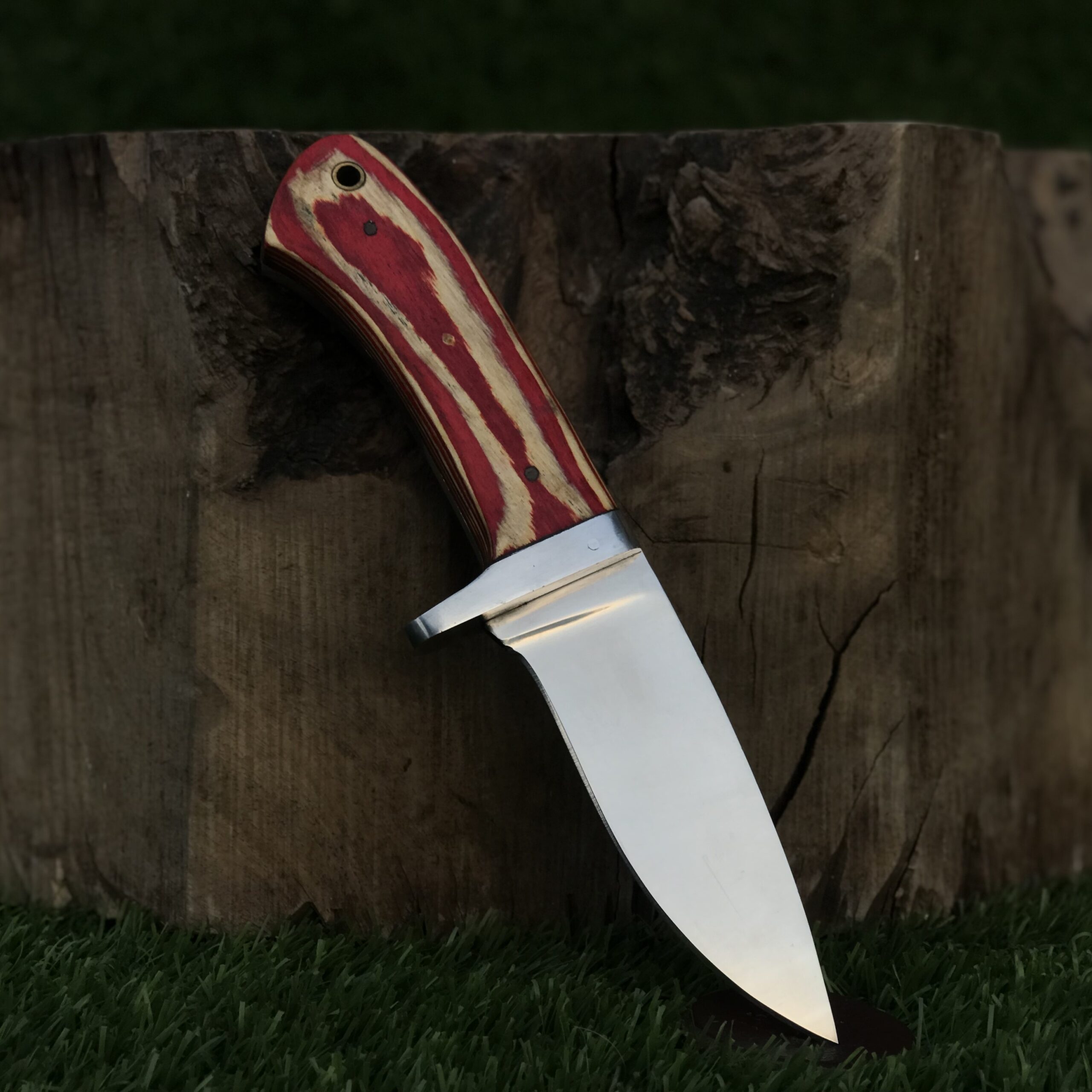 Compact Outdoor Knife with Mirror Polish Steel Blade Color Wood Handle Gardening Knife Camping Utility Knife - Image 4