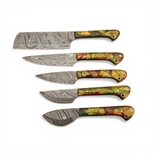 Damascus Steel Culinary Chef Knife Set 5 Pcs Kitchen Knives with Cowhide Leather Sheath